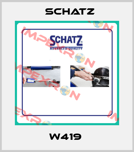 W419  Schatz