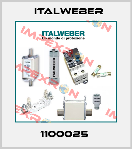 1100025  Italweber