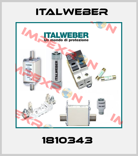 1810343  Italweber
