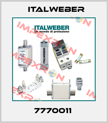 7770011  Italweber