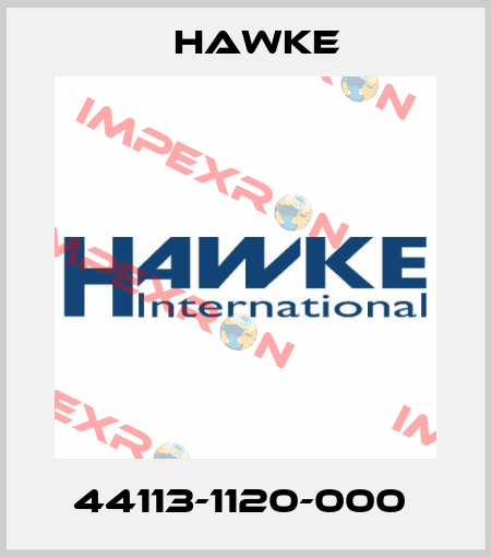 44113-1120-000  Hawke