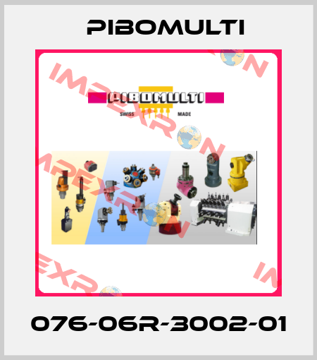 076-06R-3002-01 Pibomulti