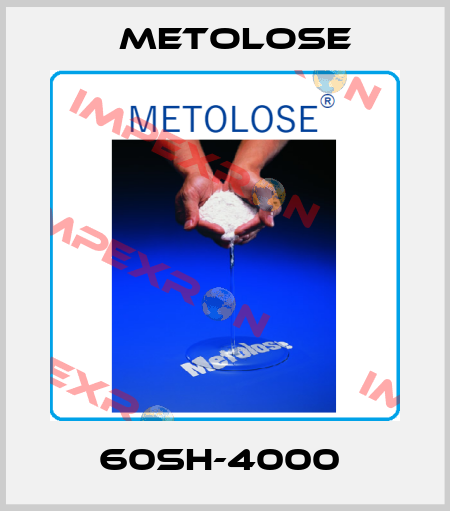 60SH-4000  Metolose