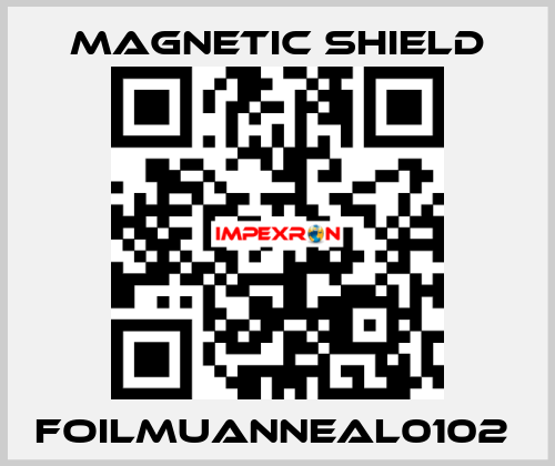 FOILMUANNEAL0102  Magnetic Shield