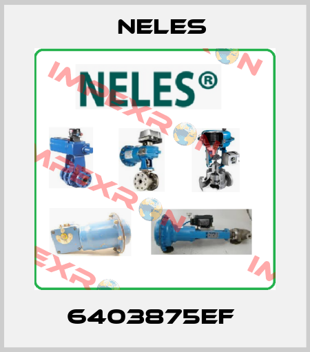 6403875EF  Neles