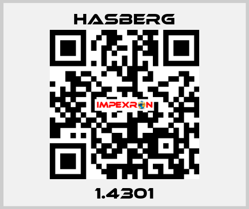 1.4301  Hasberg