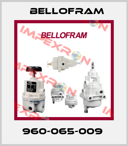 960-065-009  Bellofram