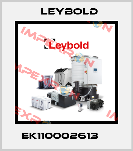 EK110002613     Leybold