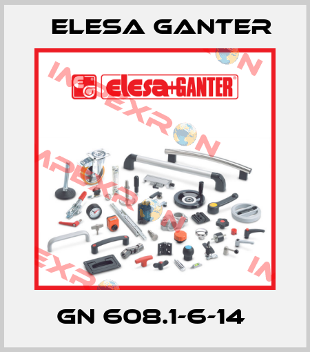 GN 608.1-6-14  Elesa Ganter