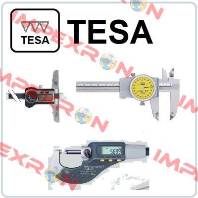 4863  Tesa