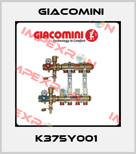 K375Y001  Giacomini