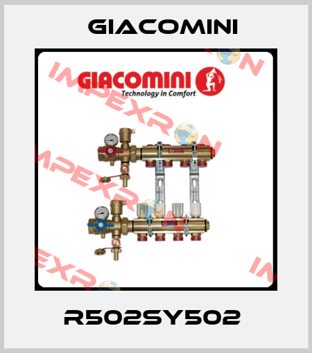 R502SY502  Giacomini