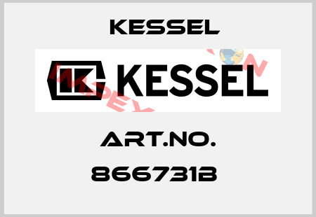 Art.No. 866731B  Kessel