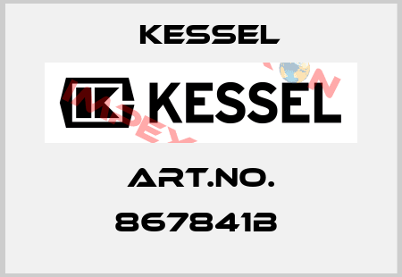 Art.No. 867841B  Kessel