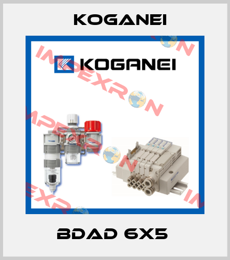 BDAD 6X5  Koganei