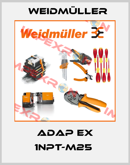 ADAP EX 1NPT-M25  Weidmüller