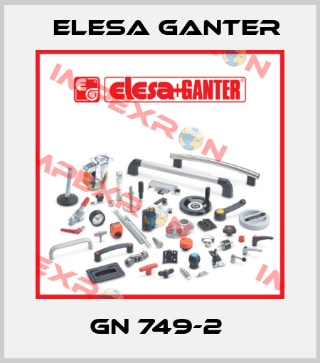 GN 749-2  Elesa Ganter