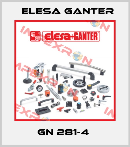 GN 281-4  Elesa Ganter