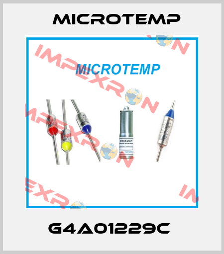 G4A01229C  Microtemp
