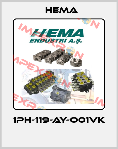 1PH-119-AY-O01VK  Hema