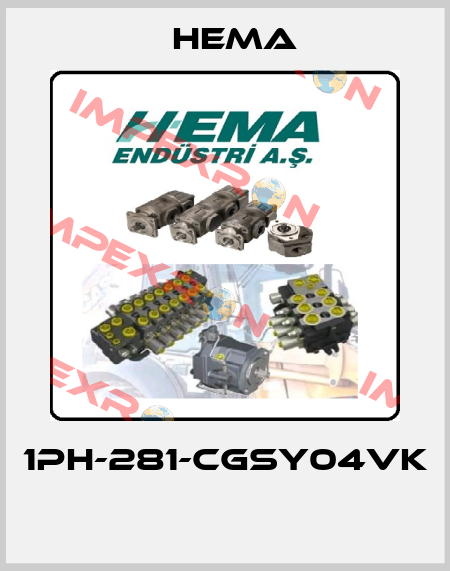 1PH-281-CGSY04VK  Hema