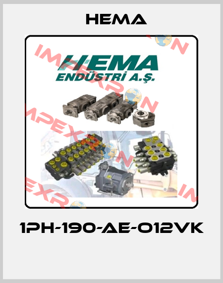 1PH-190-AE-O12VK  Hema