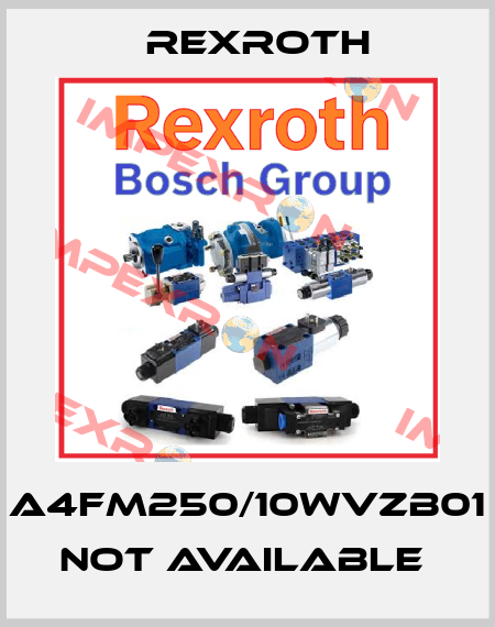 A4FM250/10WVZB01 not available  Rexroth