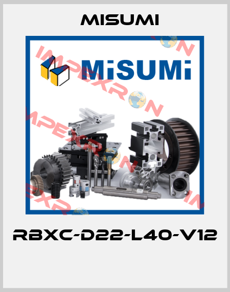 RBXC-D22-L40-V12  Misumi