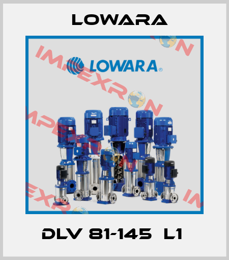 DLV 81-145  L1  Lowara