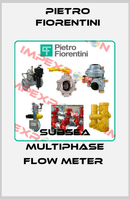 Subsea Multiphase Flow Meter  Pietro Fiorentini