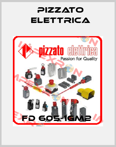 FD 605-1GM2  Pizzato Elettrica