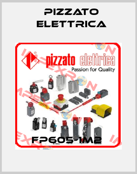 FP605-1M2  Pizzato Elettrica