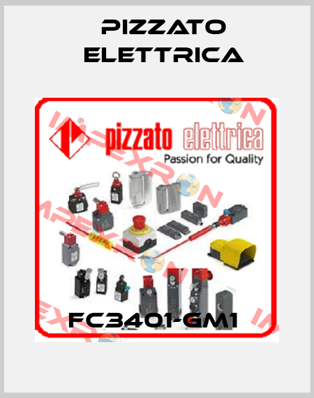 FC3401-GM1  Pizzato Elettrica