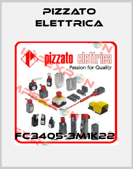 FC3405-3M1K22  Pizzato Elettrica