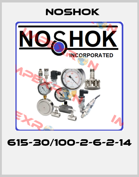 615-30/100-2-6-2-14  Noshok