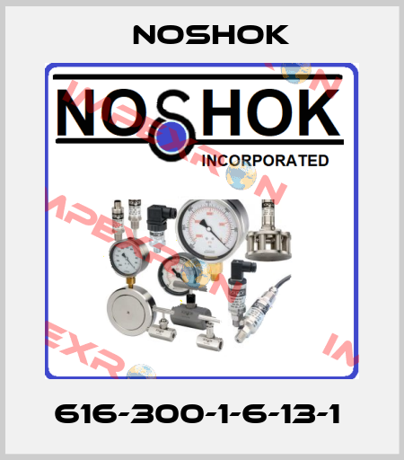 616-300-1-6-13-1  Noshok