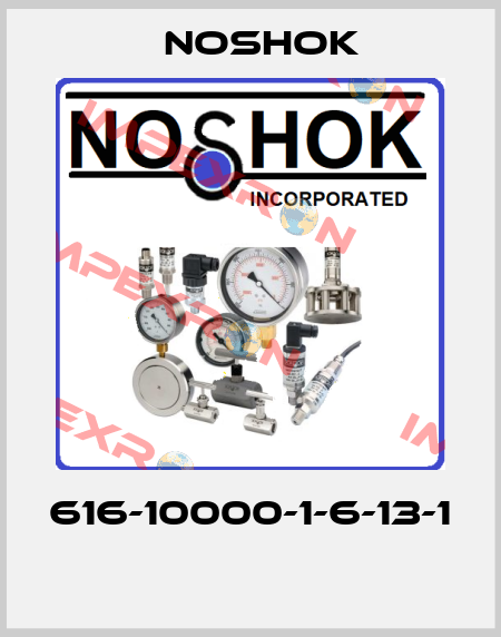 616-10000-1-6-13-1  Noshok
