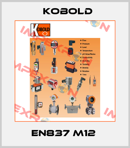 EN837 M12  Kobold