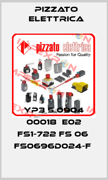 YP3 5 0904 00018  E02 FS1-722 FS 06  FS0696D024-F  Pizzato Elettrica