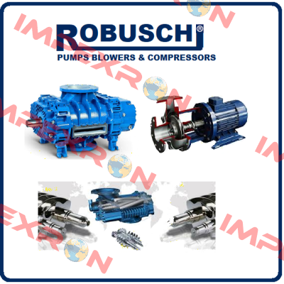 11416 Robuschi