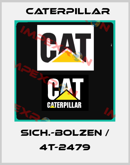 SICH.-BOLZEN / 4T-2479 Caterpillar