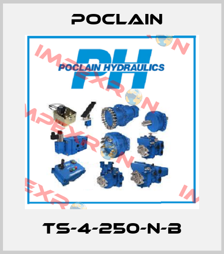 TS-4-250-N-B Poclain