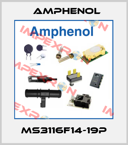 MS3116F14-19P Amphenol