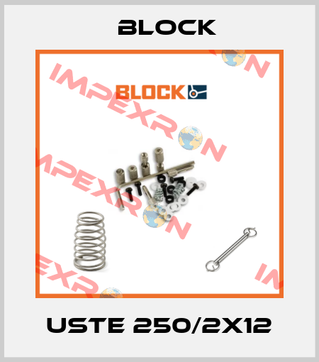 USTE 250/2x12 Block