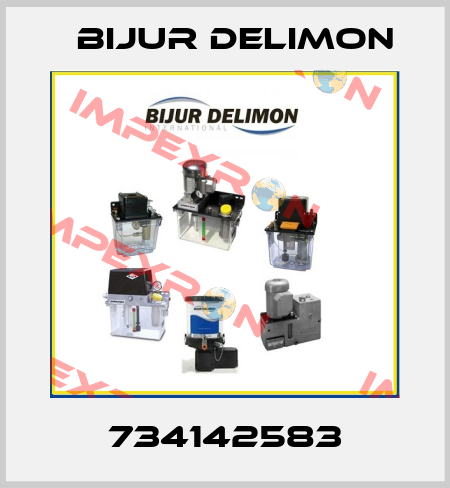 734142583 Bijur Delimon