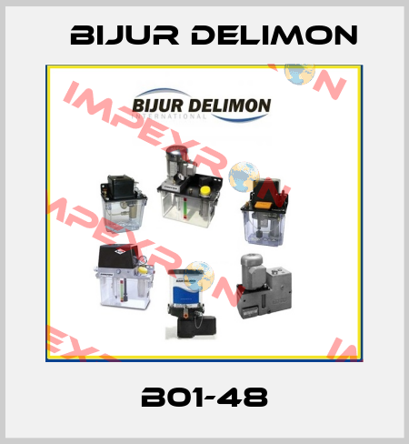 B01-48 Bijur Delimon