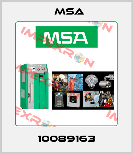 10089163 Msa