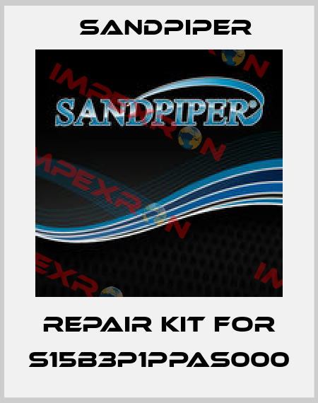 repair kit for S15B3P1PPAS000 Sandpiper