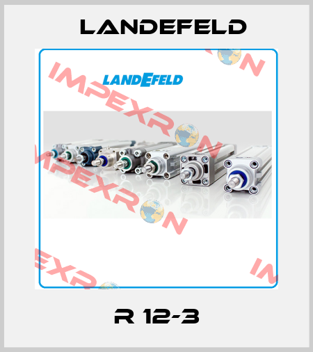 R 12-3 Landefeld