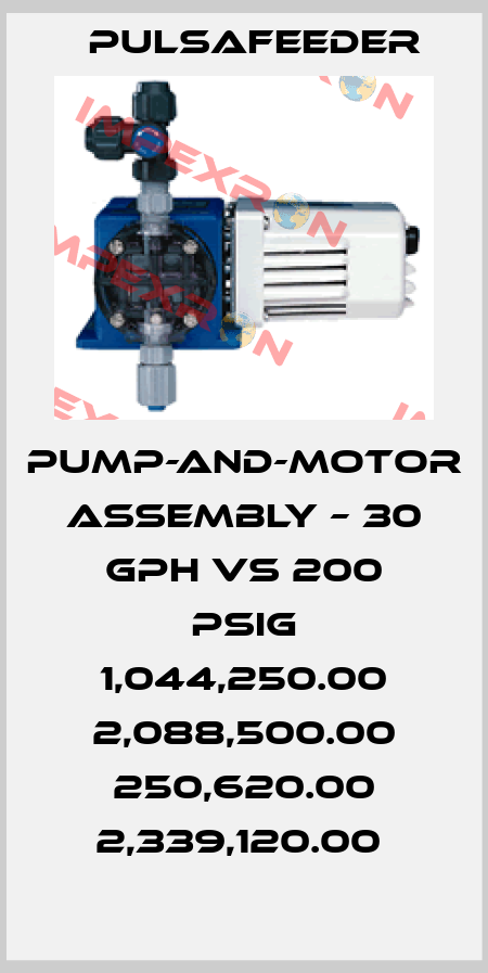 PUMP-AND-MOTOR ASSEMBLY – 30 GPH VS 200 PSIG 1,044,250.00 2,088,500.00 250,620.00 2,339,120.00  Pulsafeeder